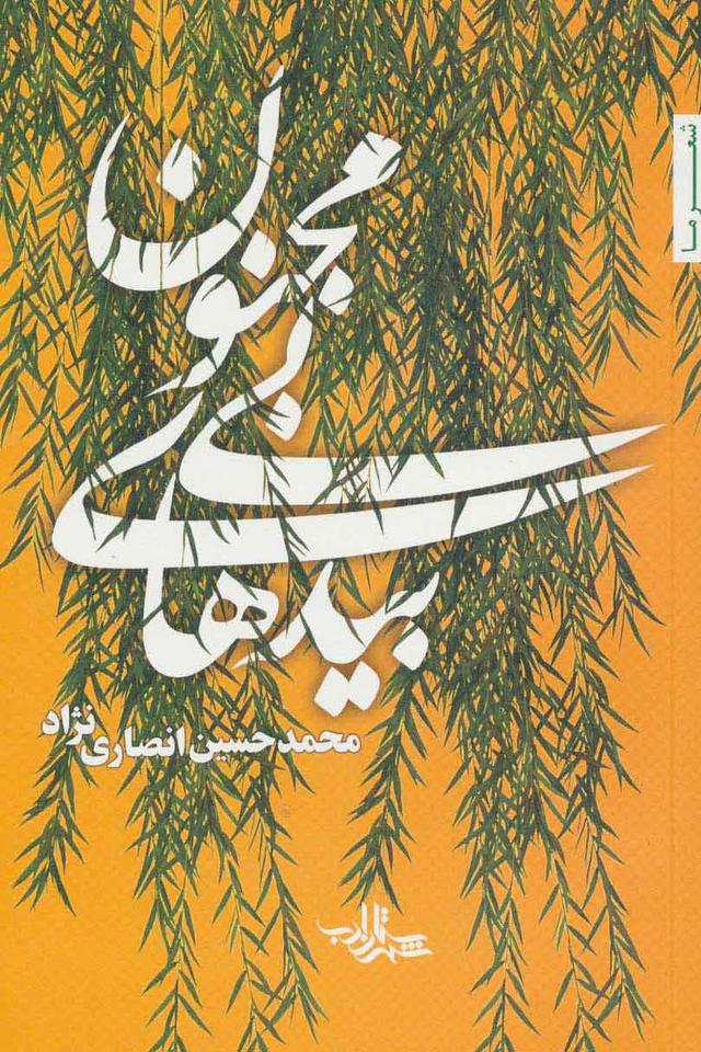 کتاب بیدهای بی مجنون