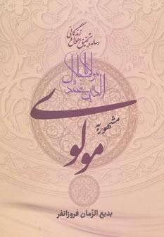کتاب مولوی