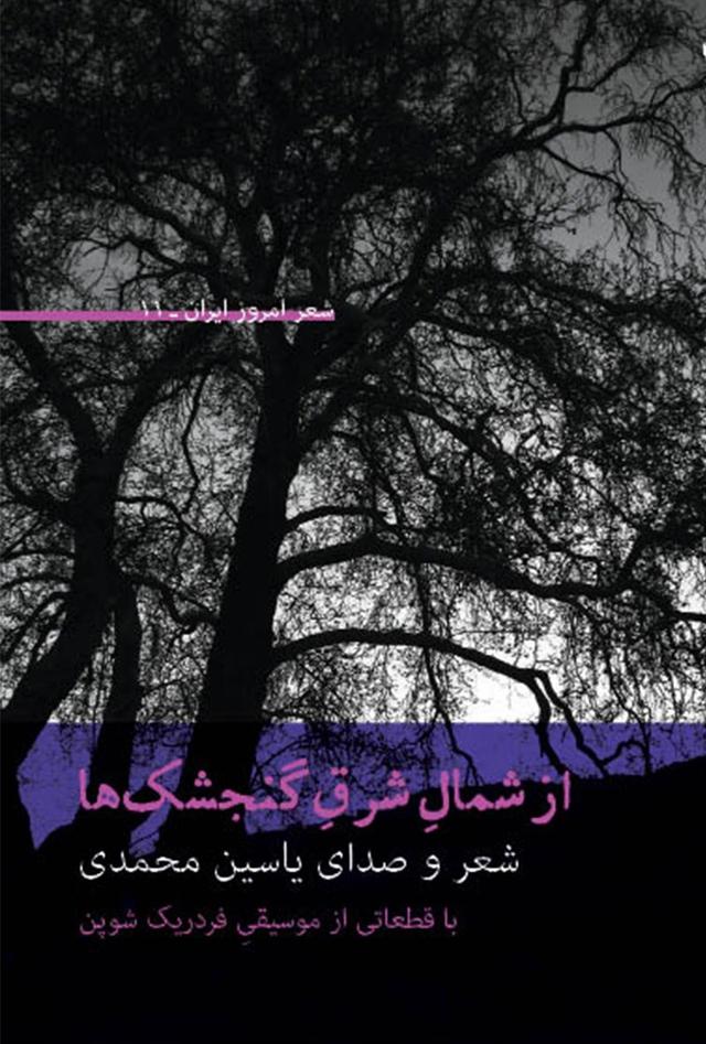 کتاب از شمال شرق گنجشک ها