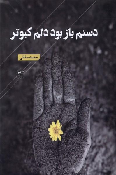 کتاب دستم باز بود دلم کبوتر